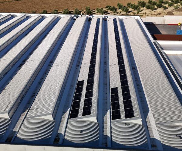 WhatsApp Image 2025-09-05 at 11.01.15 (1) WhatsApp Image 2025-09-05 at 11.01.15 (1)